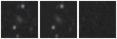 Missing file PGC1958193-custom-montage-W1W2.png