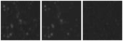 Missing file PGC2252667-custom-montage-W1W2.png