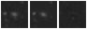 Missing file PGC2530642-custom-montage-W1W2.png