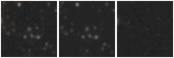 Missing file SDSSJ142429.12+371652.0-custom-montage-W1W2.png