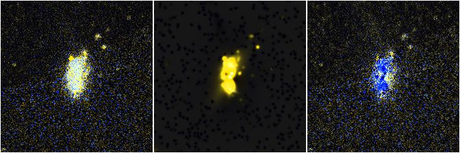 Missing file NGC5667-custom-montage-FUVNUV.png