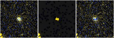 Missing file PGC051694-custom-montage-FUVNUV.png