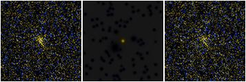 Missing file PGC051753-custom-montage-FUVNUV.png