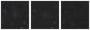 Missing file PGC095620-custom-montage-W1W2.png