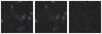 Missing file PGC1206999-custom-montage-W1W2.png