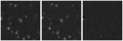 Missing file PGC2173146-custom-montage-W1W2.png