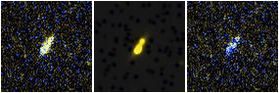 Missing file PGC2589926-custom-montage-FUVNUV.png