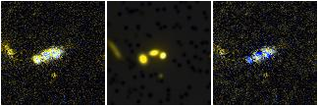 Missing file SDSSJ143155.74+361820.8-custom-montage-FUVNUV.png