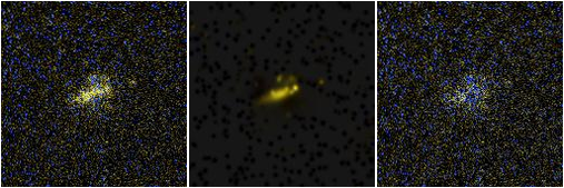 Missing file UGC09282-custom-montage-FUVNUV.png