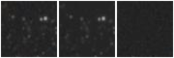 Missing file AGC243914-custom-montage-W1W2.png