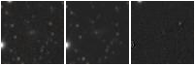 Missing file PGC087297-custom-montage-W1W2.png
