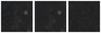 Missing file PGC135848-custom-montage-W1W2.png
