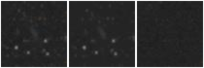 Missing file PGC135851-custom-montage-W1W2.png
