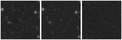 Missing file PGC3305620-custom-montage-W1W2.png