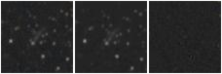 Missing file UGC09392-custom-montage-W1W2.png