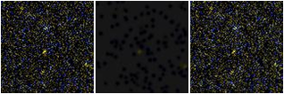 Missing file VFID1902-custom-montage-FUVNUV.png