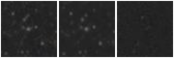 Missing file GAMA251645-custom-montage-W1W2.png