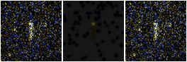 Missing file PGC091372-custom-montage-FUVNUV.png