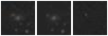 Missing file PGC1231422-custom-montage-W1W2.png
