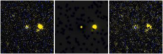 Missing file PGC1344367-custom-montage-FUVNUV.png