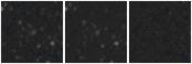Missing file PGC135858-custom-montage-W1W2.png