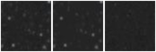 Missing file AGC249452-custom-montage-W1W2.png