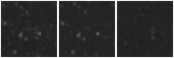 Missing file AGC249590-custom-montage-W1W2.png