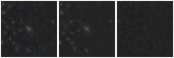 Missing file PGC1253386-custom-montage-W1W2.png