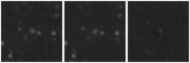 Missing file PGC1602771-custom-montage-W1W2.png