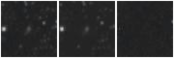 Missing file PGC2053650-custom-montage-W1W2.png