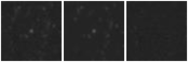 Missing file SDSSJ144153.31+302527.0-custom-montage-W1W2.png
