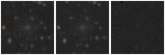 Missing file UGC09477-custom-montage-W1W2.png