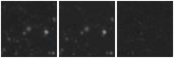 Missing file PGC2816115-custom-montage-W1W2.png