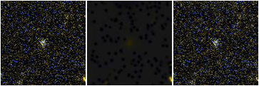 Missing file SDSSJ144536.28+341043.8-custom-montage-FUVNUV.png