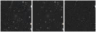 Missing file SDSSJ144536.28+341043.8-custom-montage-W1W2.png