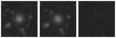 Missing file PGC052903-custom-montage-W1W2.png