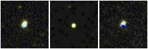 Missing file PGC1241857-custom-montage-FUVNUV.png
