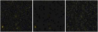Missing file SDSSJ145059.85+022016.4-custom-montage-FUVNUV.png