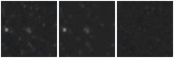 Missing file SDSSJ145059.85+022016.4-custom-montage-W1W2.png