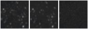 Missing file AGC238948-custom-montage-W1W2.png