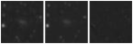 Missing file PGC053115-custom-montage-W1W2.png