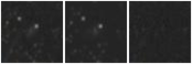 Missing file PGC135871-custom-montage-W1W2.png