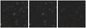 Missing file PGC2620345-custom-montage-W1W2.png