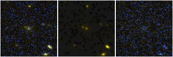 Missing file PGC184851-custom-montage-FUVNUV.png