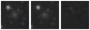 Missing file SDSSJ145632.21+550146.8-custom-montage-W1W2.png