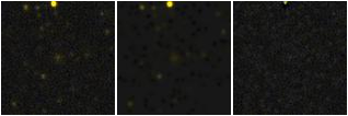Missing file PGC1192611-custom-montage-FUVNUV.png