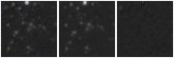 Missing file PGC1192611-custom-montage-W1W2.png