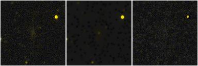 Missing file PGC1193898-custom-montage-FUVNUV.png