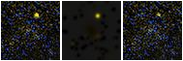 Missing file SDSSJ150019.17+005700.3-custom-montage-FUVNUV.png