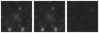 Missing file SDSSJ150019.17+005700.3-custom-montage-W1W2.png